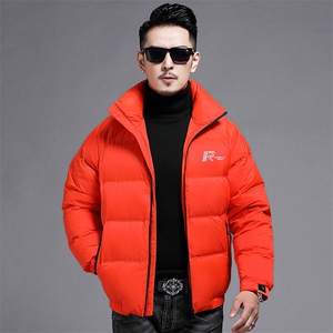 B8855钱塘2020-3冬季90白鸭绒高端男士羽绒服外套主推P245图片