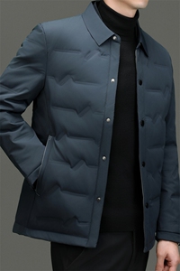BN3966钱塘2020-2商务简约简约冬季厚款中年男士90鸭绒羽绒服P180图片