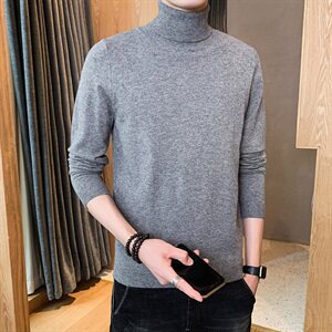 2021秋冬季新款男士韩版潮流针织毛线打底衫外套高领毛衣DF65T图片