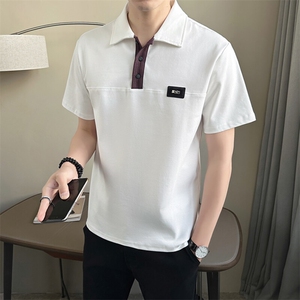 2025新款Polo衫男士短袖T恤高级感痞帅潮牌半袖 A313-68526-P58图片