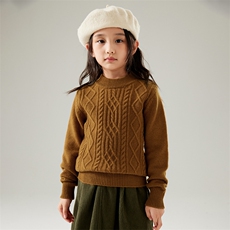 高品质儿童半高领加厚款绞花羊毛衫秋冬新品中大童男孩毛衣，童装毛衣，初丹羊绒童装