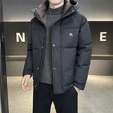 店主风2025年新款时尚连帽潮流保暖羽绒服男A236-G819-P215，男装羽绒服，电商A236