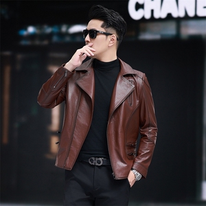 海宁皮衣男士皮夹克头层牛皮机车服短款翻领韩版帅气外套潮流图片