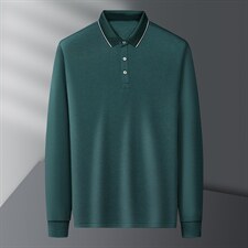 长袖t恤男2023秋季翻领纯色Polo衫商务休闲体恤中年时尚百搭衣服，男装T恤，电商B212（原钱塘6029）