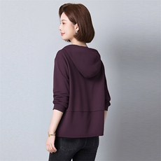 2025年秋季宽松型针织常规长袖纯色套头卫衣长袖T恤，女装T恤，秋牧寒烟
