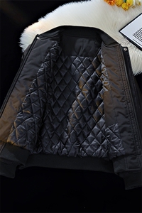 冬季clean纯色棒球服领棉服加厚短款棉衣 HZ8815-特P68不议价图片