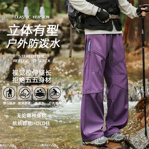 2025秋季高街长裤工装裤潮牌休闲户外速干直筒宽松长裤Z6910-P45图片