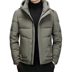 DF23315钱塘2020-2新款冬季时尚百搭连帽简约中年男士羽绒服P293，男装羽绒服，钱塘207-2