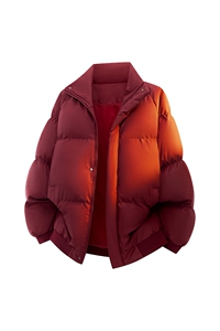 新款冬季羽绒立领PU皮棉服棉袄韩版宽松外套A436-2522-P80图片