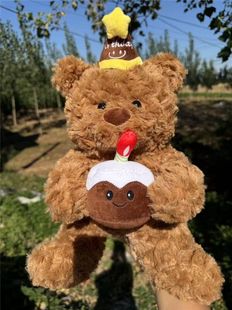 生日熊，琪琪毛绒玩具