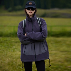 紫罗兰