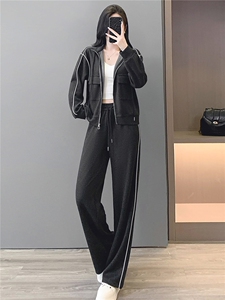 韩版休闲运动套装秋季新款女修身立领开衫卫衣直筒长裤两件套减龄图片