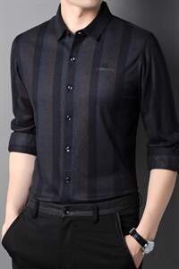 2023秋季新款男士冰丝长袖衬衫休闲男装衬衣免烫中年条纹寸衫图片
