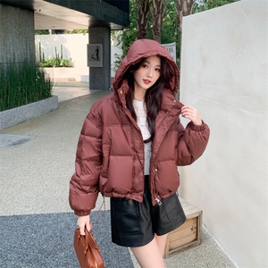 90%白鸭绒羽绒服2024冬季新款韩版短款立领连帽羽绒服外套女
