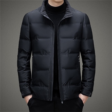 BAMJ-9620钱塘2020-2中年男士冬季厚款立领奶德商务羽绒服P180，男装羽绒服，钱塘207-2