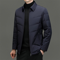 C91707钱塘2020-2新款商务休闲翻领简约中年男士羽绒服P260，男装羽绒服，钱塘207-2