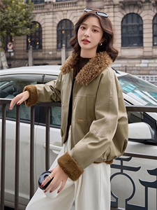 【大量现货】羊羔毛外套女2025秋冬新款小个子巨好看的韩系加绒加厚短款派克服图片