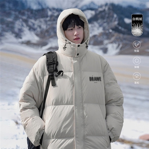 港风23冬季时尚百搭立领连帽羽绒服外套YR63604P225控298图片