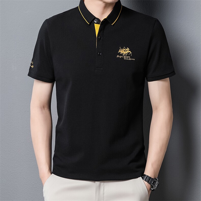 短袖T恤男夏季新款翻领商务中年男士POLO保罗衫休闲时尚男装半袖,男装T恤,电商B212（原钱塘6029）
