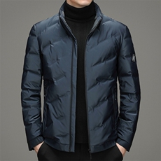 灰鸭绒中青年立领商务休闲羽绒服冬季保暖男装上衣ZSab2120-P260，男装羽绒服，电商B212（原钱塘6029）