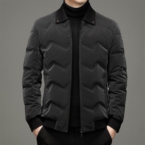 冬季新款中年男士白鸭绒立领短羽绒服爸爸冬装外套YL5909-P280，男装羽绒服，电商B212（原钱塘6029）