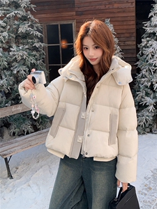 现货新款2163-P275-K399小个子羽绒服面包服图片