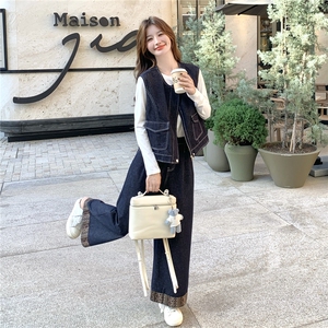 韩系休闲松弛感套装女2025秋季新款高级感仿牛仔马甲阔腿裤两件套图片