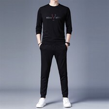 中年春秋季男士休闲印花运动套装中老年圆领卫衣宽松春秋款运动服，男装休闲套装，电商B212（原钱塘6029）