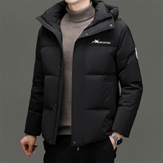 BN22753钱塘2020-2冬季时尚百搭厚款中年男士85鸭绒羽绒服P230，男装羽绒服，钱塘207-2