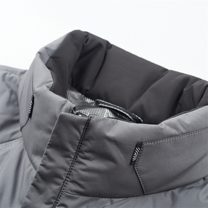 LD661钱塘2020-2秋冬新款中年男士商务休闲立领羽绒服外套P220图片