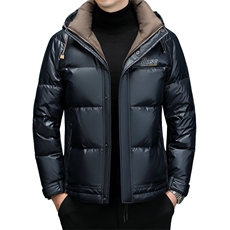DF888钱塘2020-2冬季厚款时尚休闲简约中年男士羽绒服P303，男装羽绒服，钱塘207-2