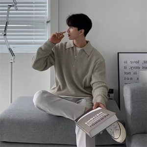 B321P48秋冬男装修身短款毛衣翻领男装上衣图片
