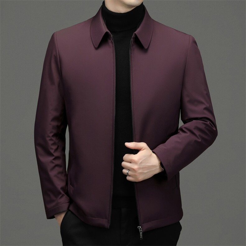DZ2235钱塘2020-3冬季厚款新款简约百搭中年男士羽绒服P152,男装羽绒服,钱塘207-3