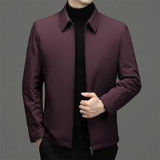 DZ2235钱塘2020-3冬季厚款新款简约百搭中年男士羽绒服P152，男装羽绒服，钱塘207-3