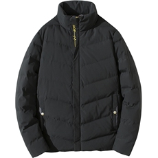 棉衣男士外套2020冬季新款棉服韩版潮流棉袄DS573T，男装棉衣，电商A102