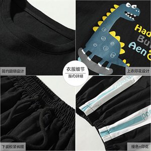 夏季运动服男士短袖T恤潮牌一套韩版潮流休闲套装DS714T图片