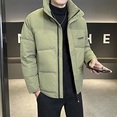 店主风2024年新款时尚立领潮流保暖羽绒服男A236-G66-P195，男装羽绒服，电商A236