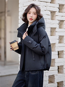 爆《2025冬季新款连帽90白鸭绒羽绒服休闲防风保暖派克服加厚外套图片