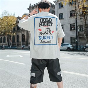 夏季短袖t恤男生套装搭配潮牌韩版潮流一套DS773T图片