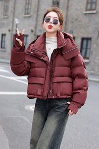欧货显瘦短款羽绒服女2025冬季新款加厚宽松连帽小个子白鸭绒外套图片
