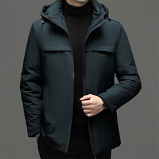 QL2009钱塘2020-2中年男士商务休闲冬季厚款连帽羽绒服P117，男装羽绒服，钱塘207-2