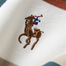 长袖拼色t恤男士秋季2023新款中年薄款条纹刺绣上衣POLO衫男装，男装T恤，电商B212（原钱塘6029）