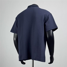 【有货】DPL1102-批38新款夏季男生POLO衫短袖宽松百搭休闲T恤，男装T恤，星座603-2