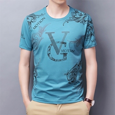 短袖T恤男圆领时尚印花上衣夏季中年男士休闲百搭半袖体恤衫，男装T恤，电商B212（原钱塘6029）