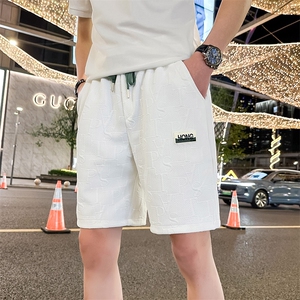 夏季肌理感休闲宽松短裤男潮流薄款       D64-P45图片