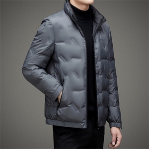 BAMJ-8917钱塘2020-2中年男士商务休闲立领冬季厚款羽绒服P180图片