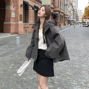 灰色连帽冲锋衣外套女秋季短款2025新款韩系穿搭小个子休闲夹克图片