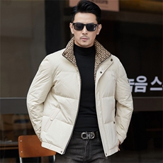 冬季白鸭绒加厚羽绒服短款青年休闲立领保暖防寒潮服外套男装，男装羽绒服，钱塘6003（原4033）