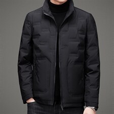 冬季白鸭绒羽绒服立领男中长款新款中年保暖外套上衣ZL7117-P225图片