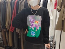 高品质小象卫衣，女装卫衣/绒衫，玩美